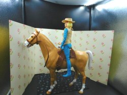 jane west horse side b